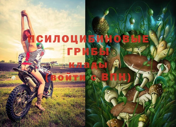 экстази Алзамай