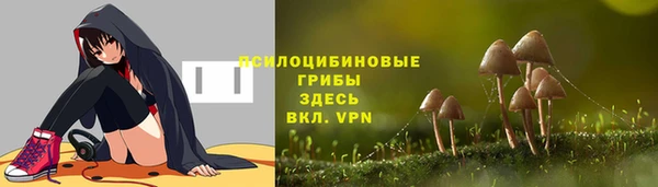 мяу мяу кристалл Переславль-Залесский