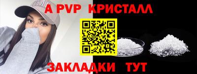 тгк Кингисепп