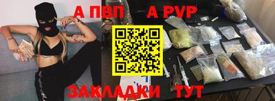 тгк Кингисепп