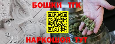 тгк Кингисепп