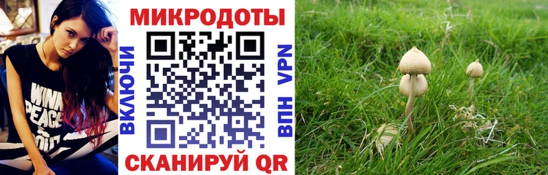 Псилоцибиновые грибы ЛСД  Конаково 