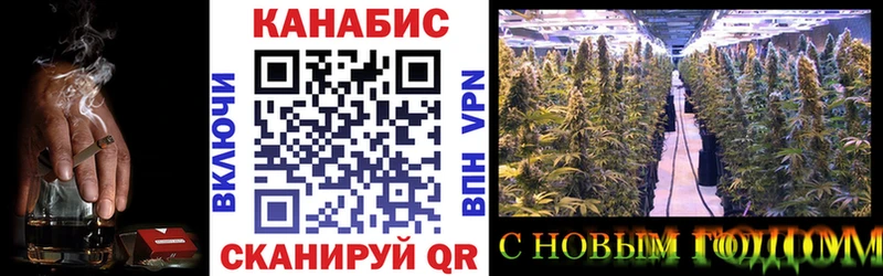 Каннабис OG Kush  Конаково 